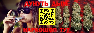 круглые Кингисепп