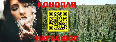 круглые Кингисепп