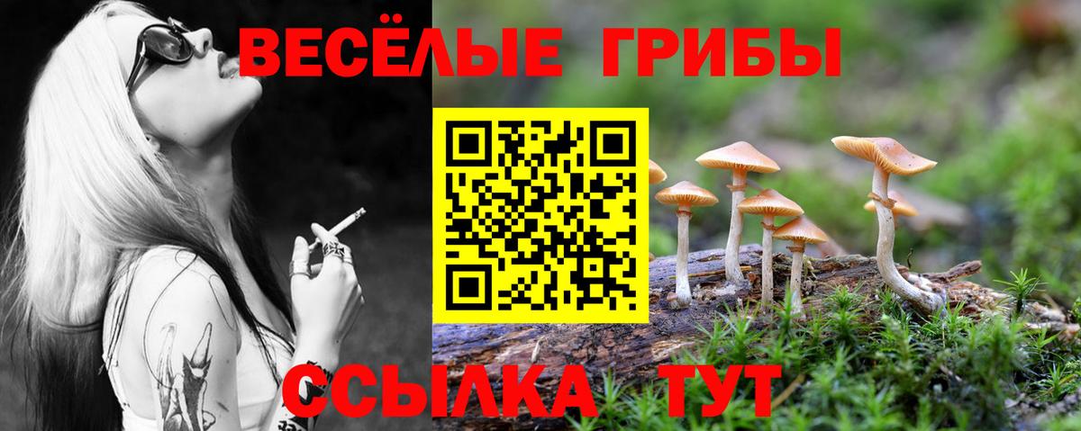 Галлюциногенные грибы Cubensis  Вход с VPN  хочу наркоту  Галлюциногенные грибы мицелий  Феодосия 