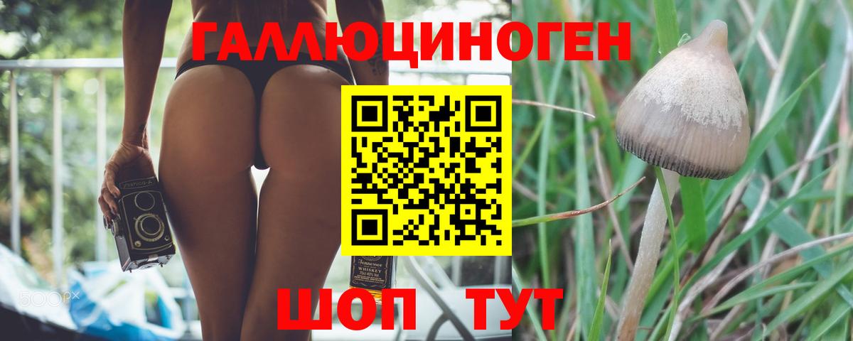 Галлюциногенные грибы Cubensis Феодосия